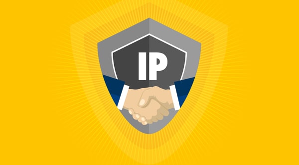 mã bảo vệ IP
